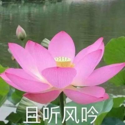 开云·全站app(kaiyun)截图4